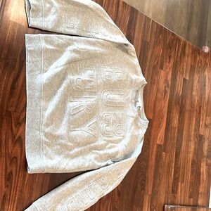 Boy’s Burberry sweatshirt sz 10